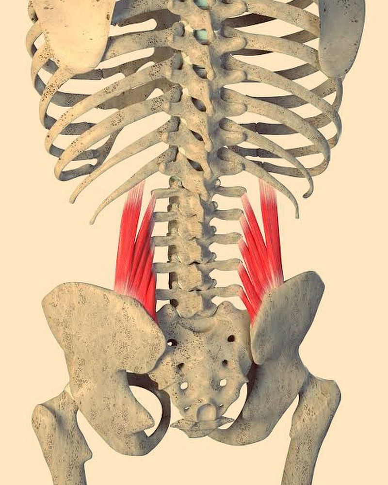 Lower back pain … is it the spinal rotation muscles?